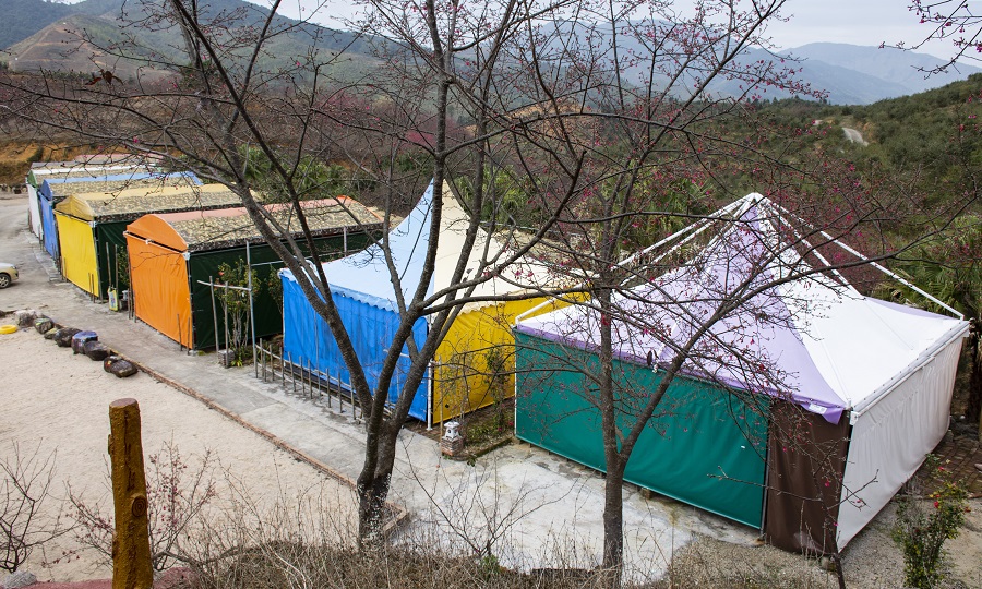 旅游景區(qū)篷房